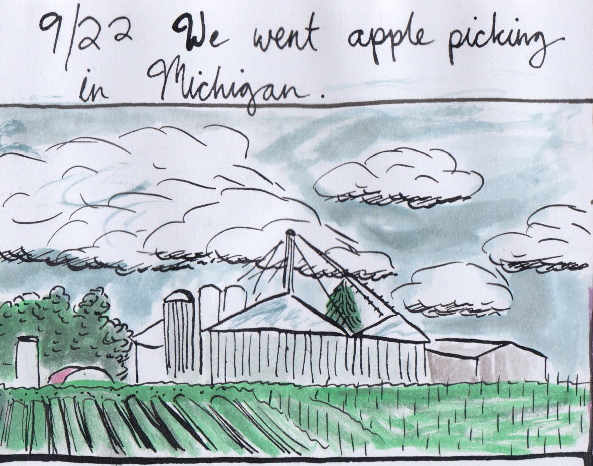Apples to Apples