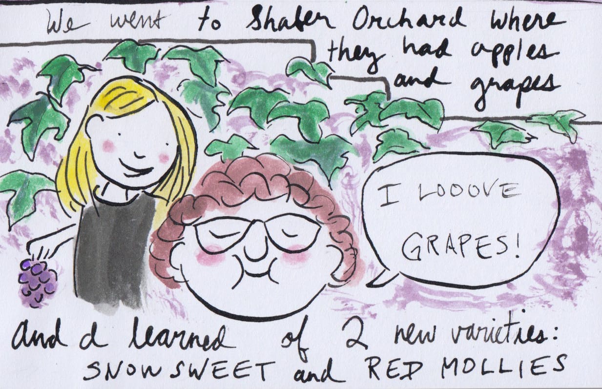 Apples to Apples
