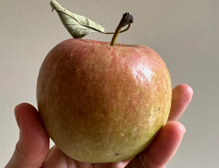 Apples to Apples